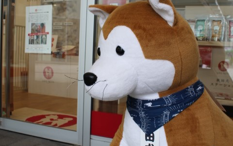 可愛いを求めて、なかいち「秋田犬ステーション」へ🐕✨