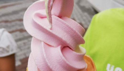 ポートタワーセリオン内「土崎湊屋⚓」でランチ＆ババヘラ🍦