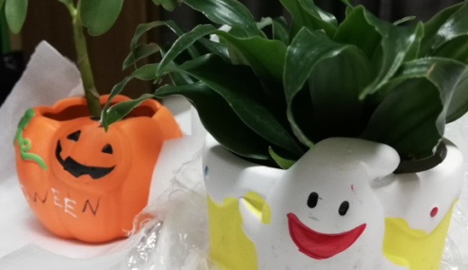 【西武秋田店】地下の人気花屋「ブルーパレット」で購入！